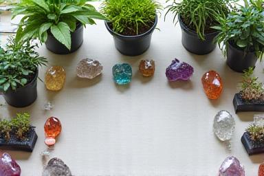 Primo piano di un tavolo da laboratorio con diverse piante in vaso, cristalli di varie forme e colori, e strumenti per la pulizia dei minerali.