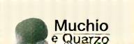 Logo Muschio e Quarzo
